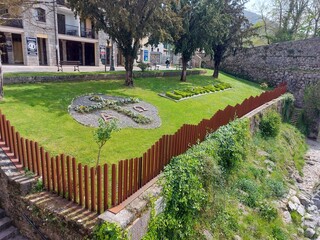 garden with flowers