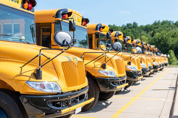Shiny yellow school buses parked in the school parking lot - obrazy, fototapety, plakaty