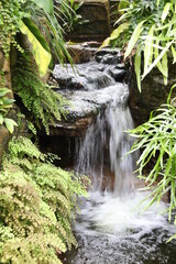 waterfall in the forest