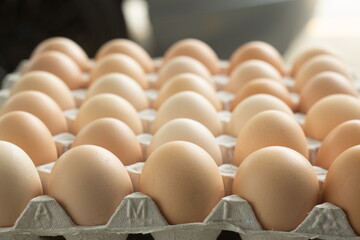 fresh hen eggs in tray paper.