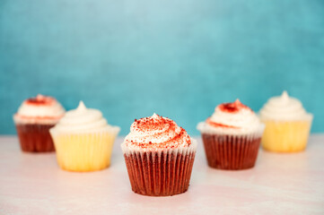 cupcake with icing