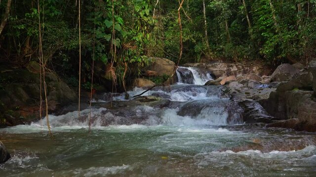 cascada en medio de la selva colombiana