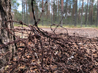 A metal product in the form of a thread, a thin rod with sharp spikes, selective focus