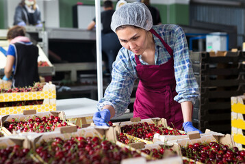 adult woman working at the cherry farm warehouse