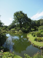 Akagi Nature Park in early autumn