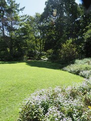 Akagi Nature Park in early autumn