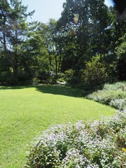 Akagi Nature Park in early autumn