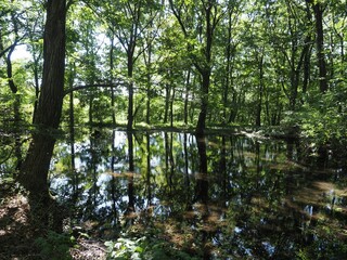 Akagi Nature Park in early autumn
