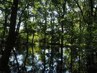 Akagi Nature Park in early autumn