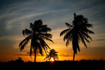 Beautiful sunset with silhouettes of palm trees.