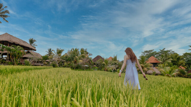 「バリ」の画像 73,921 件の Stock 写真、ベクターおよびビデオ Adobe Stock