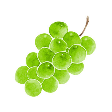 130 524 Best 果物 Images Stock Photos Vectors Adobe Stock 130 524 Best 果物 Images Stock Photos Vectors Adobe Stock