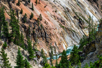 Obraz premium Yellowstone river in the Grand Canyon of the Yellowstone, Yellowstone National Park, USA 