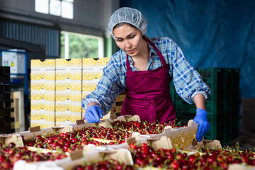 Portrait of professional asian female farmer standing with boxe full of organic cherry at warehouse