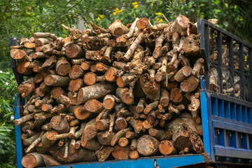 A pile of heavy logs transport in a lorry. Concept of deforestation.