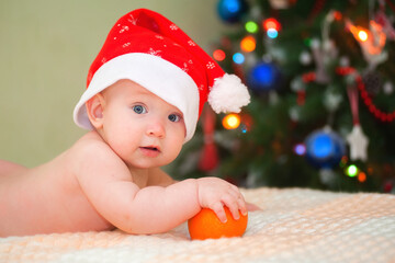 Newborn baby lying on Christmas tree background with orange. Lying on his stomach with an orange. Xmas holiday. Child costume. Santa boy. Christmas tree. Baby care - 451323105