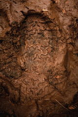 pegada de bota na lama em uma trilha para uma cachoeira 