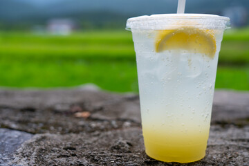 Ice tea on bamboo with rice fields background