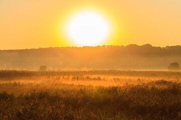 Fototapeta premium Beautiful sunrise over a foggy meadow