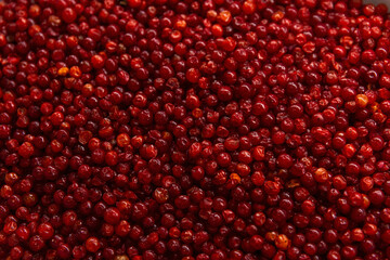 A juicy cranberry berry. Vitamins and healthy food from nature. Background. Space for text.