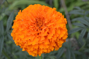 Bright, colorful photos of nature, landscapes