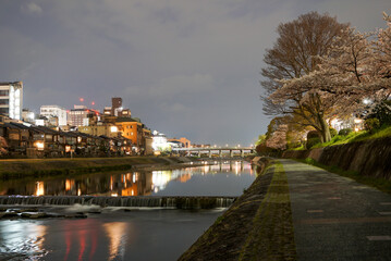 桜と夜景と河原