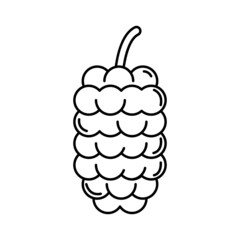 Black and white image of mulberry. Vector image, eps