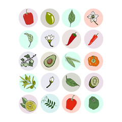 20 instagram icons. Set of icons with eco elements. Doodle set. 