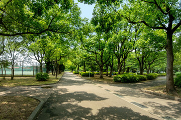 東京都江戸川区の篠崎公園と江戸川緑地一帯