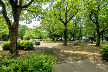 東京都江戸川区の篠崎公園と江戸川緑地一帯
