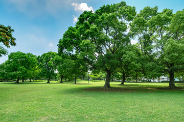東京都江戸川区の篠崎公園と江戸川緑地一帯