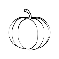 Hand drawn sketch pumpkin. Ripe pumpkins isolated on a white background. Linear art of healthy organic vegetables in cartoon style. Vector illustration for menus, farmers markets, print.