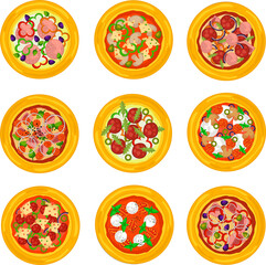 A pizza set with a base and fillings. 9 types of pizza with different fillings.