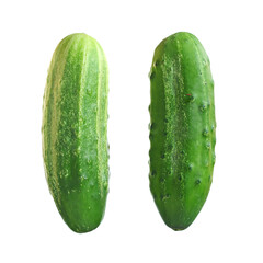 Fresh green cucumbers