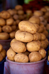 bucket of potatoes, harvested potatoes for sale