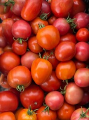 tomatoes on the vine