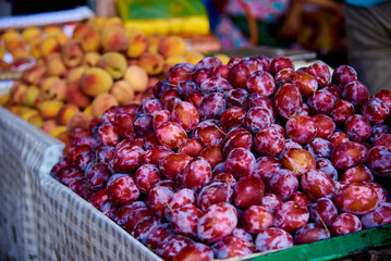 harvested ripe plum on the counter