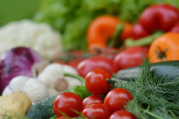 Colorful set organic food. Fresh raw vegetables. Healthy vegetarian food.Vegetarian eating concept
