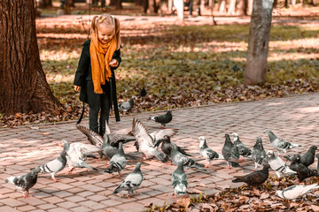 Feeding pigeons in autumn park. Little girl in autumn clothes feed birds.