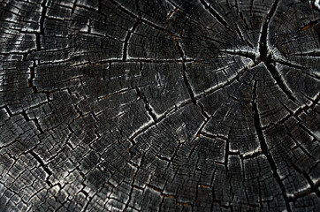 black burnt wood texture surface