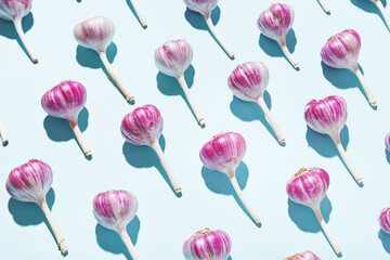 Bulbs of garlic on a colored background, colorful garlic  pattern. Garlic patter on cyan mint blue  background