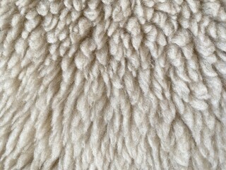 close up of wool