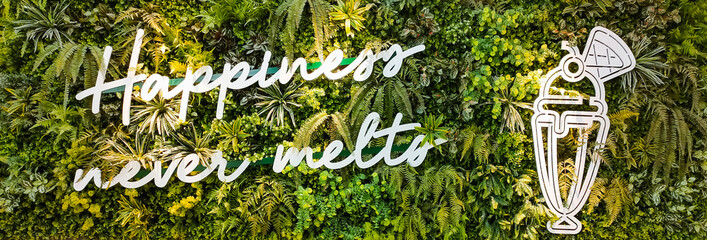 Tropical leaves plant bush floral arrangement nature backdrop