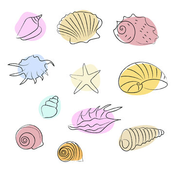 Sea shells abstract doodle illustration vector set. Sea shell with abstract shapes.