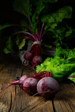 Botwina, Rustic Young Beetroot