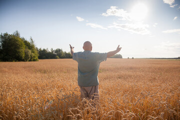 Naklejka na ściany i meble Mature man standing back in wheat field at sunset