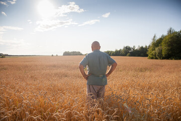 Naklejka na ściany i meble Mature man in wheat field at sunset