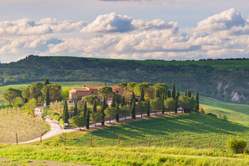 Unique green landscape in Orcia Valley, Tuscany, Italy. Dramatic sunset sky, dirt road and farm in cultivated hill range and cereal crop fields.