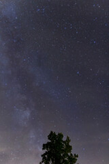 Summer night sky with milky way, stars and tree silhouette. Czech republic