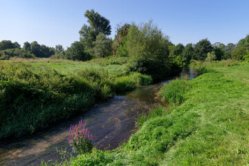 Fototapeta na wymiar Vauvise river in the Loire valley